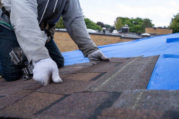 Arp, TX Roofing Contractor Company