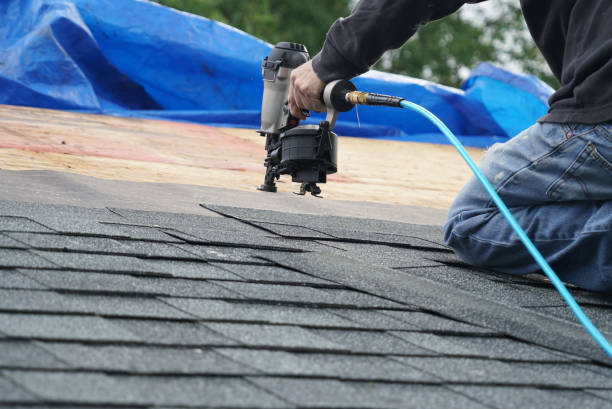 Best Flat Roof Repair Services  in Arp, TX